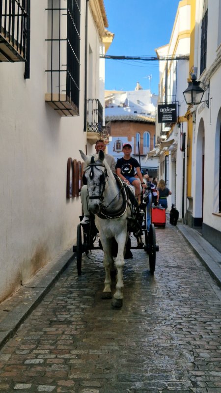 cordoba